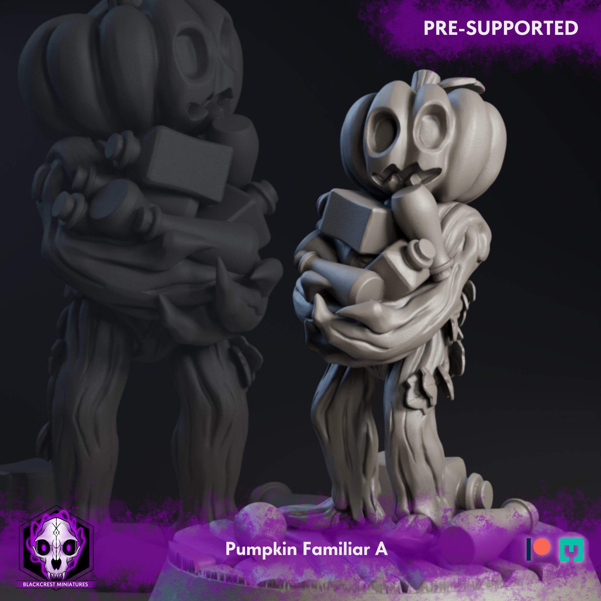 Revena's Coven | Pumpkin Familiar A